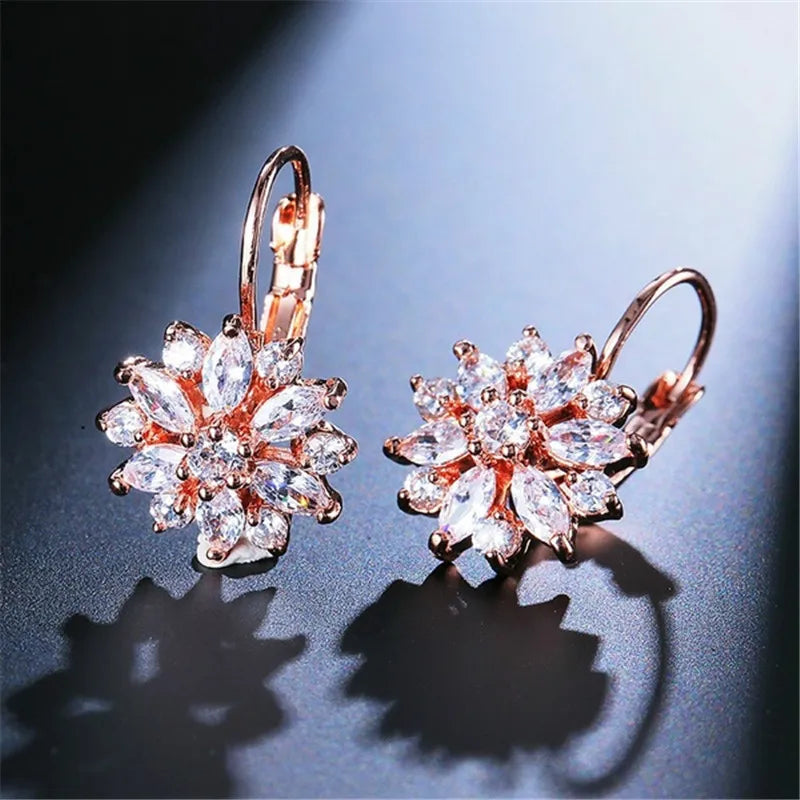 Brincos de Argola Lovely Shine - Prata 925 Legítima com Strass Delicados