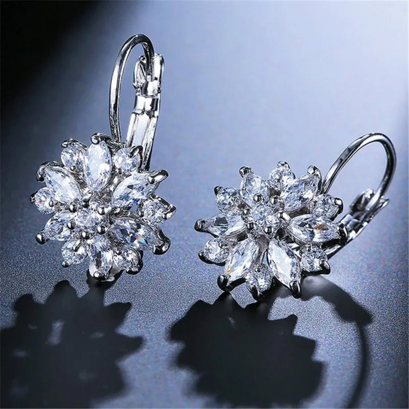Brincos de Argola Lovely Shine - Prata 925 Legítima com Strass Delicados