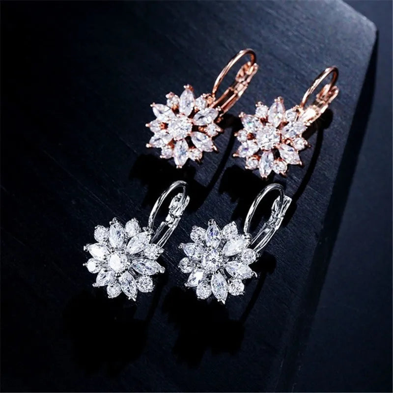 Brincos de Argola Lovely Shine - Prata 925 Legítima com Strass Delicados