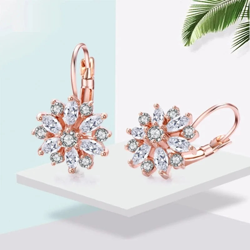 Brincos de Argola Lovely Shine - Prata 925 Legítima com Strass Delicados