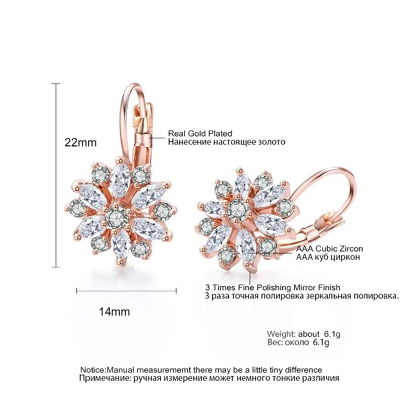 Brincos de Argola Lovely Shine - Prata 925 Legítima com Strass Delicados