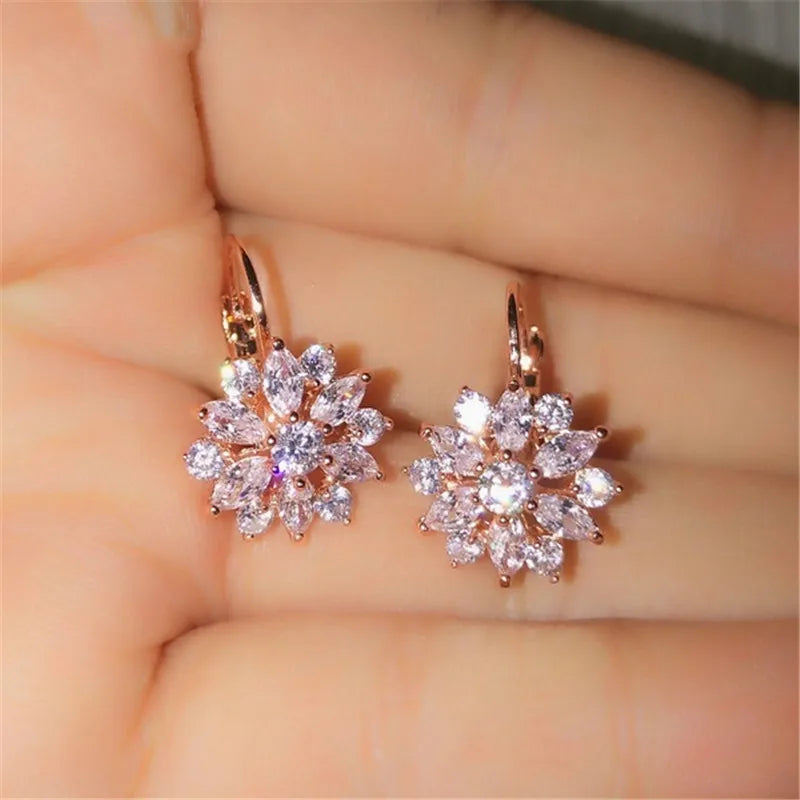 Brincos de Argola Lovely Shine - Prata 925 Legítima com Strass Delicados